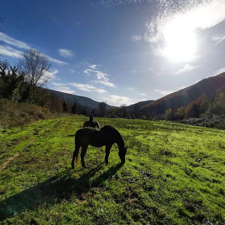 La Casella Antico Feudo Di Campagna フィクッレ エクステリア 写真