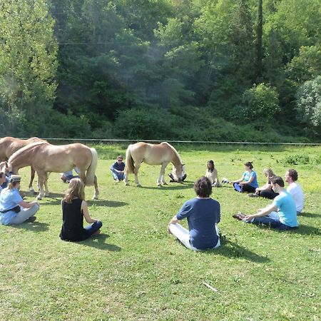 La Casella Antico Feudo Di Campagna フィクッレ エクステリア 写真