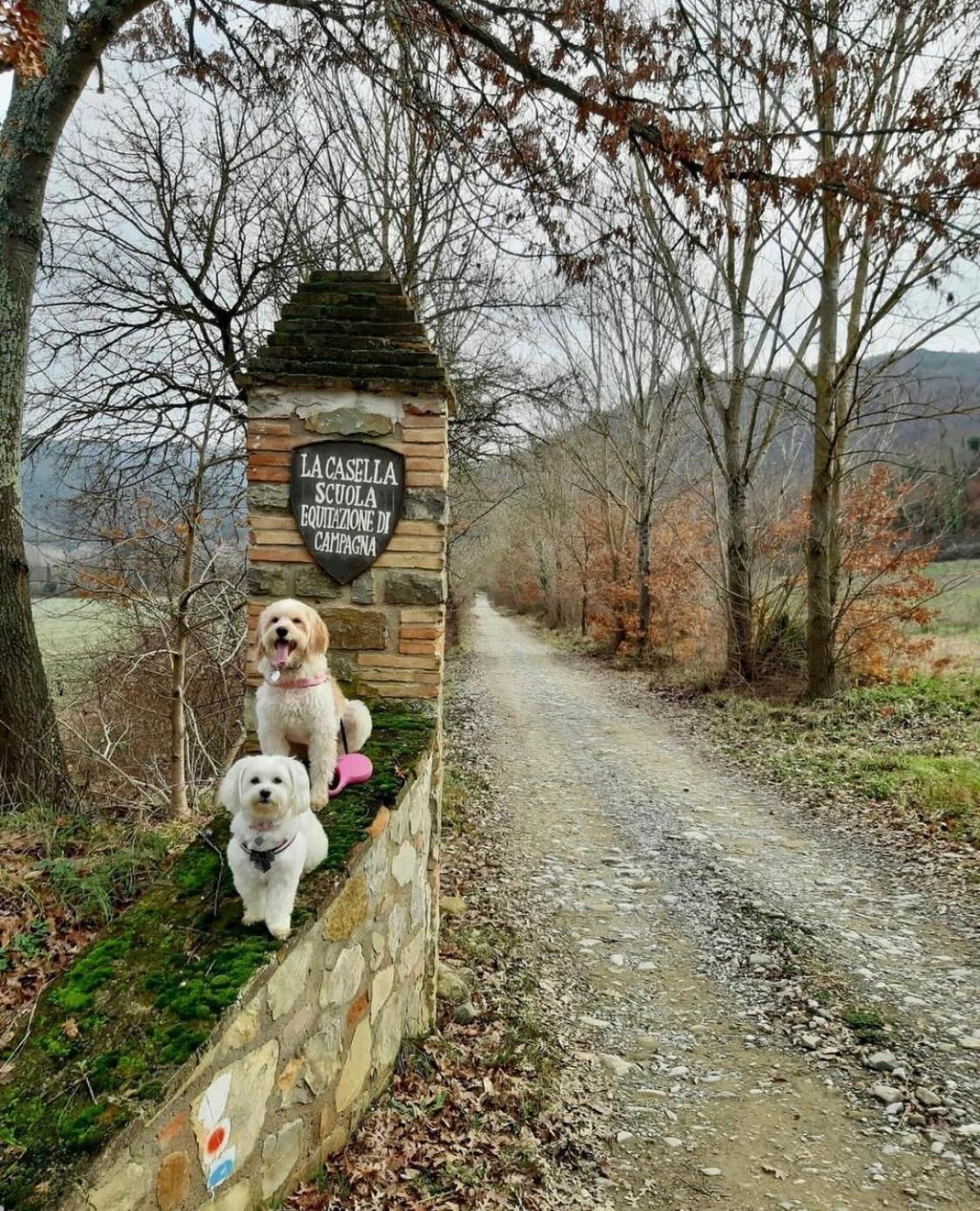La Casella Antico Feudo Di Campagna フィクッレ エクステリア 写真