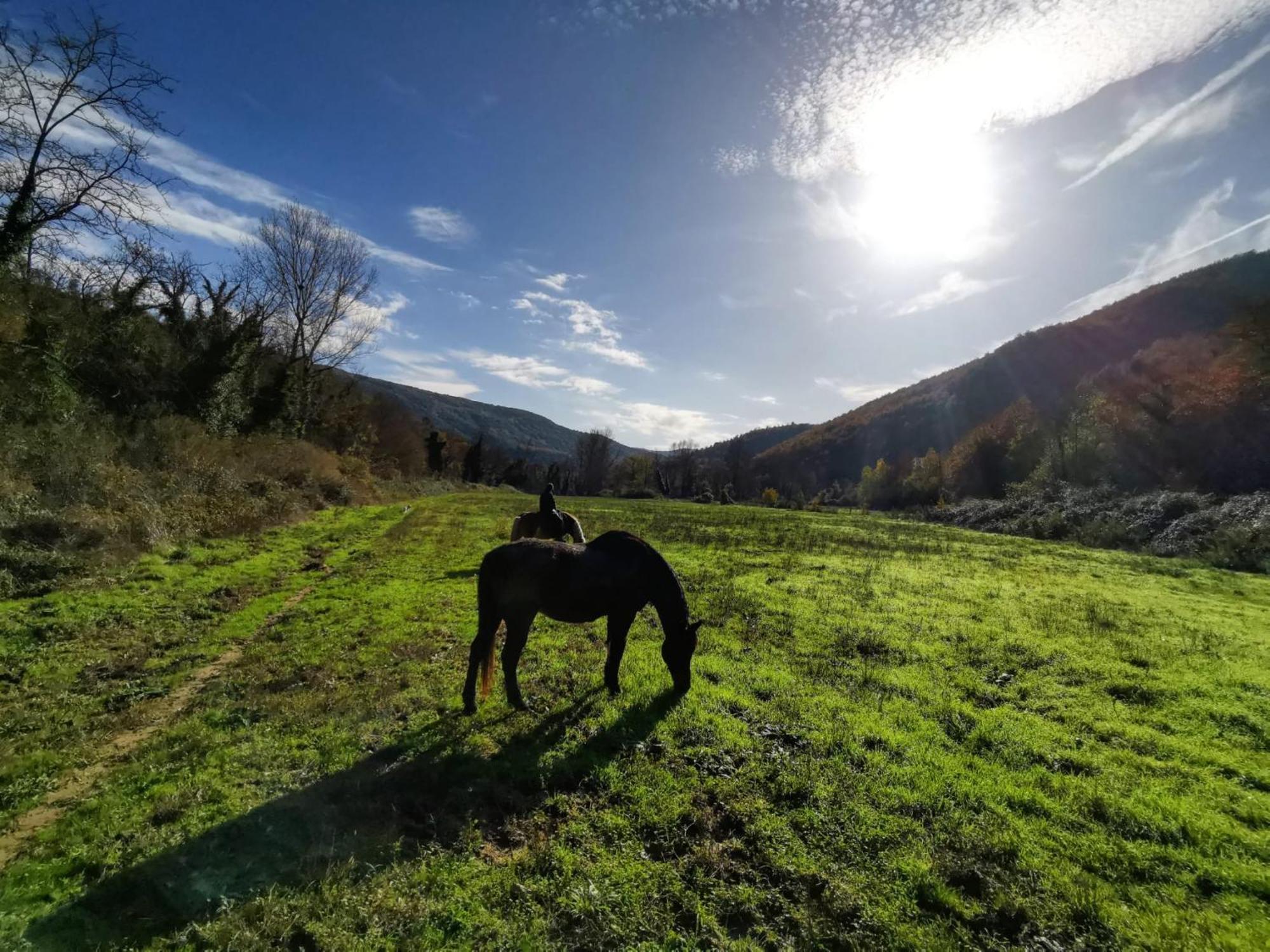 La Casella Antico Feudo Di Campagna フィクッレ エクステリア 写真