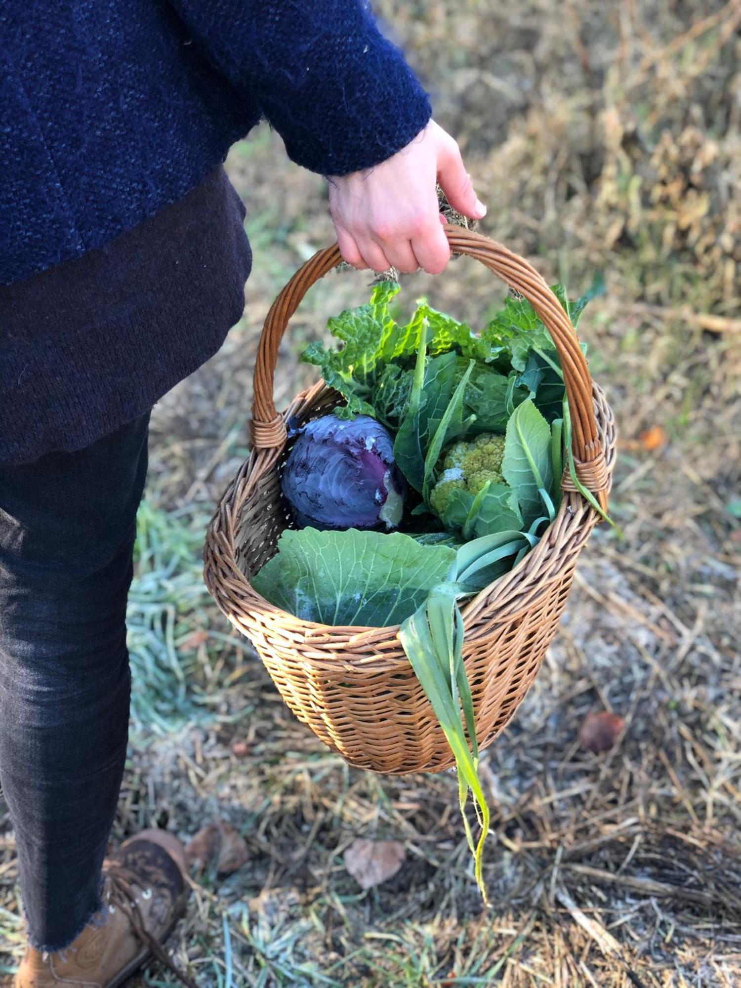 La Casella Antico Feudo Di Campagna フィクッレ エクステリア 写真